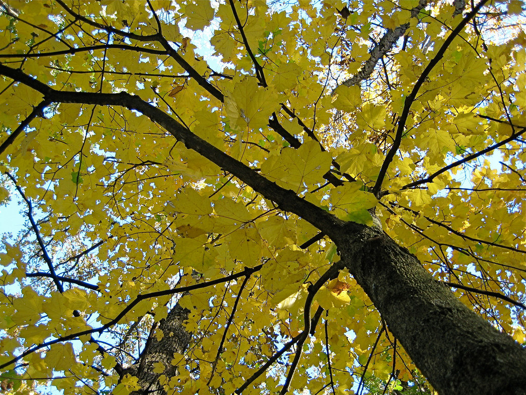 Thousand Hills State Park