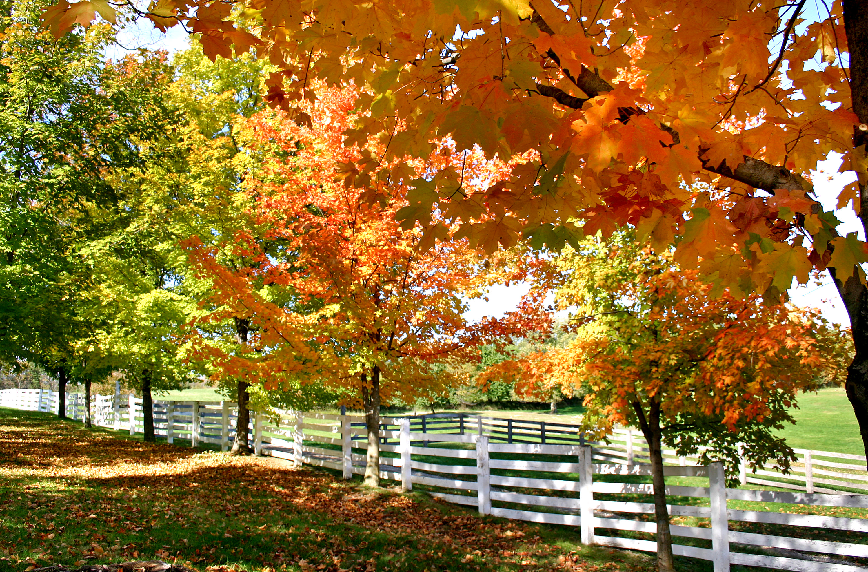 Watkins Mill State Park