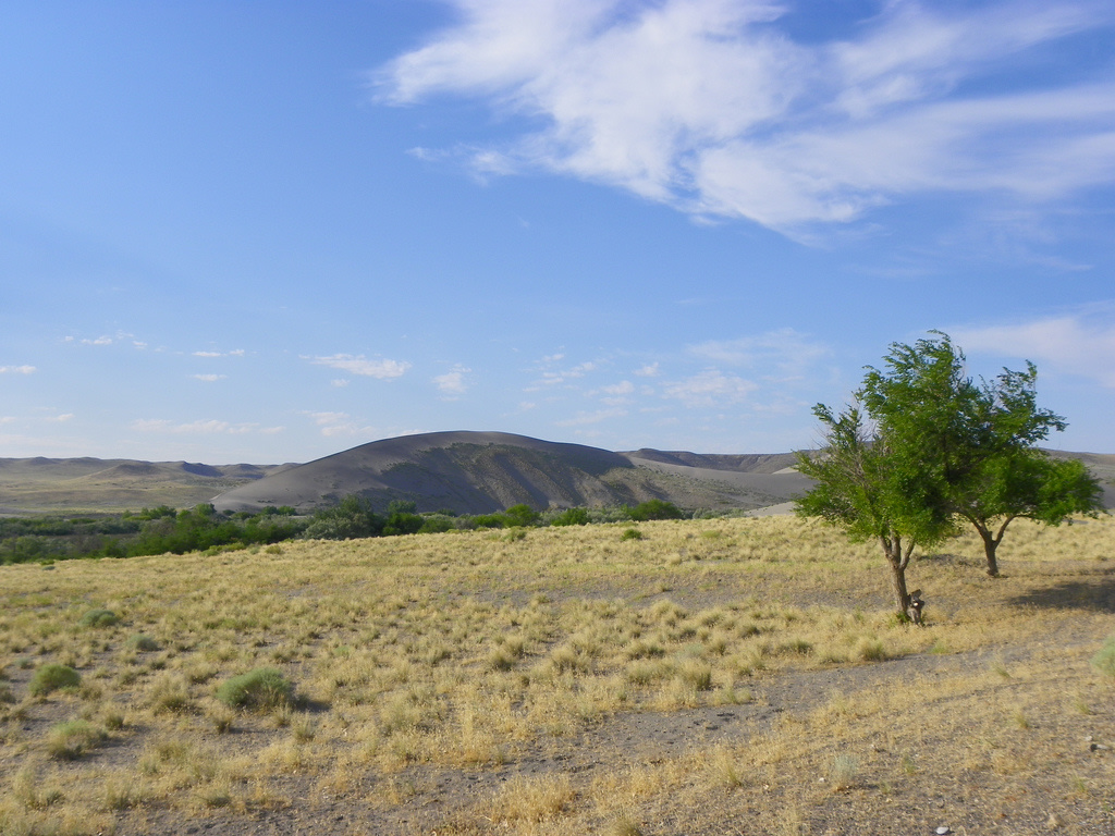 Bruneau Dunes Campground