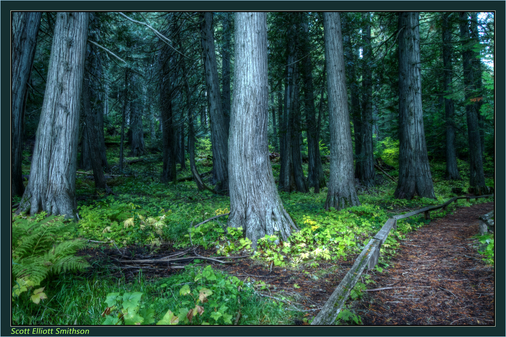 North Fork Slate Creek Campground