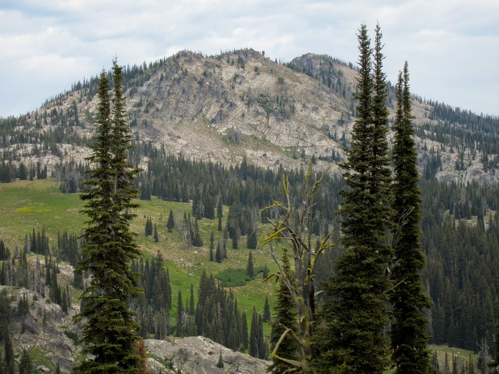 Ponderosa Campground