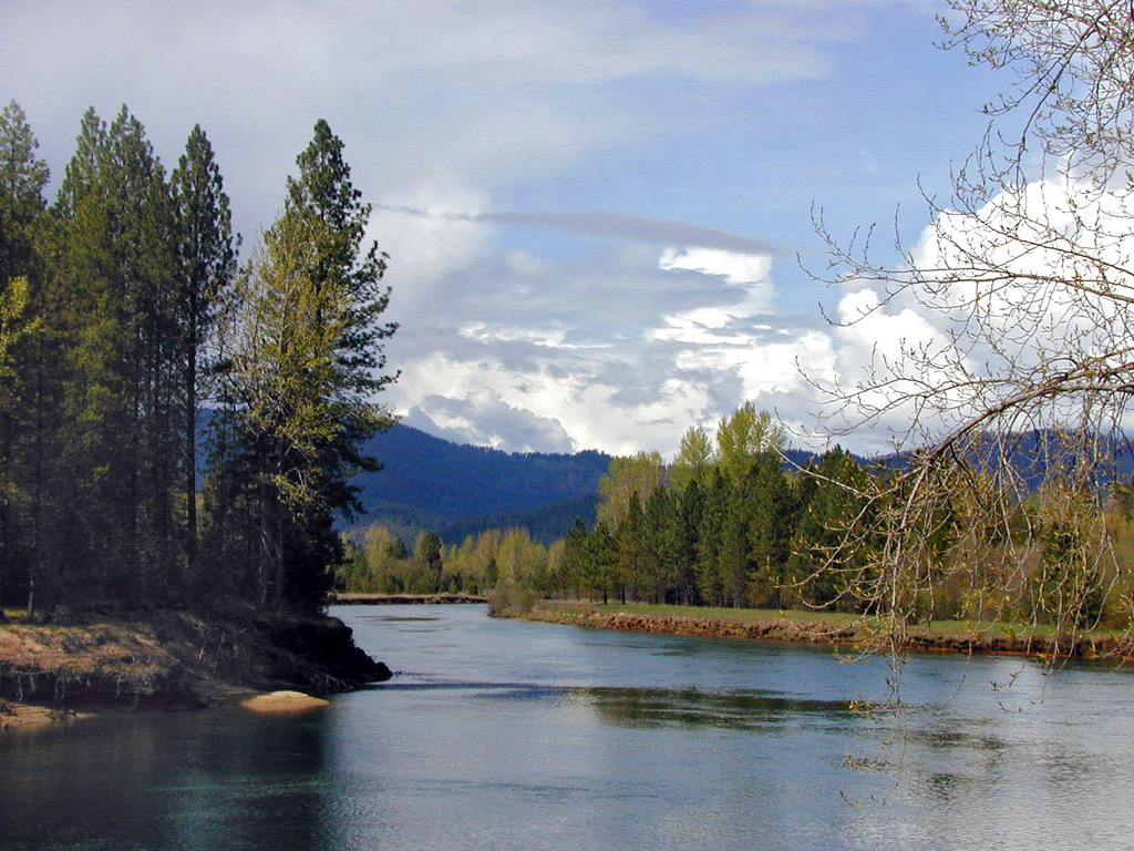 Devil's Elbow Campground