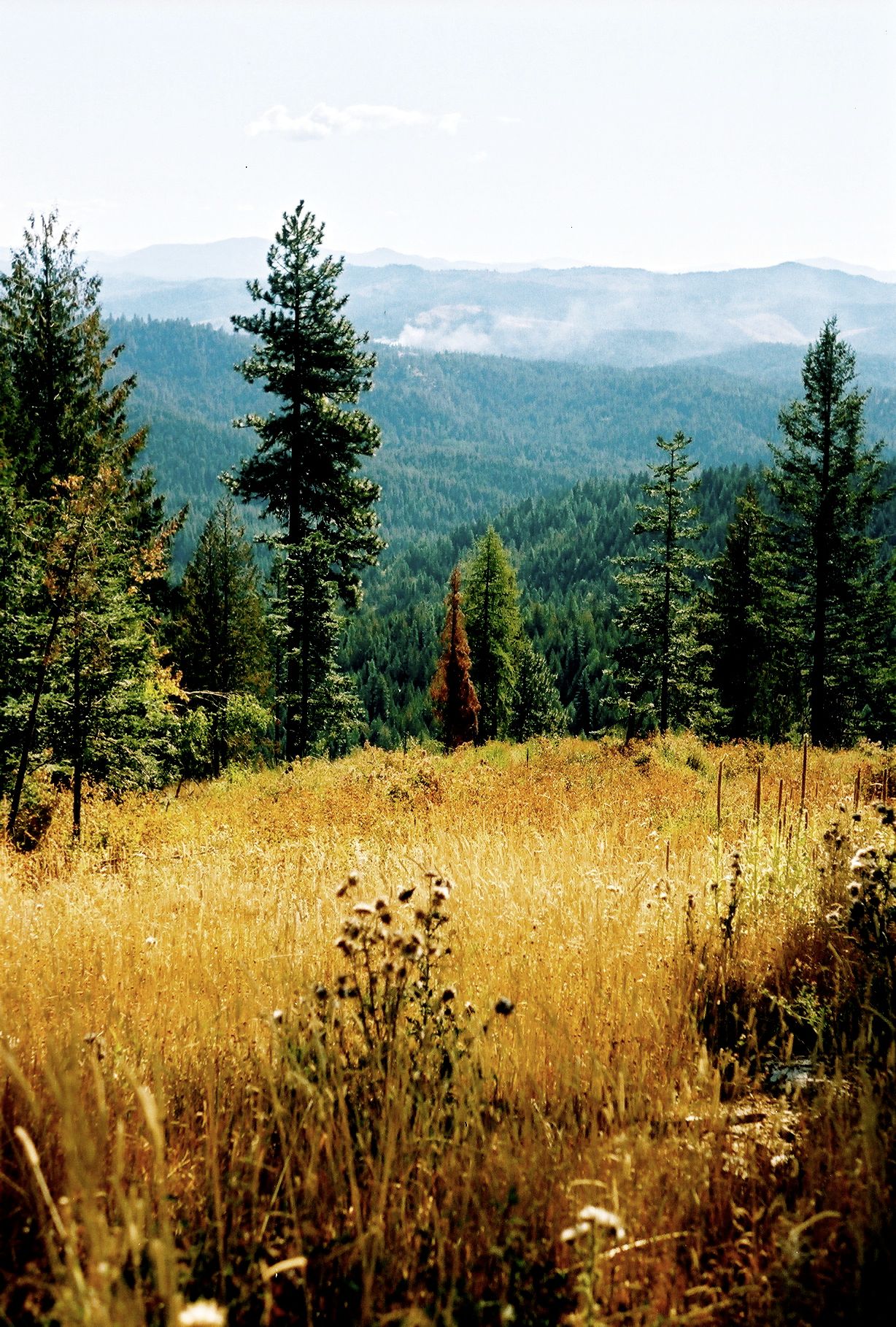 McCroskey State Park