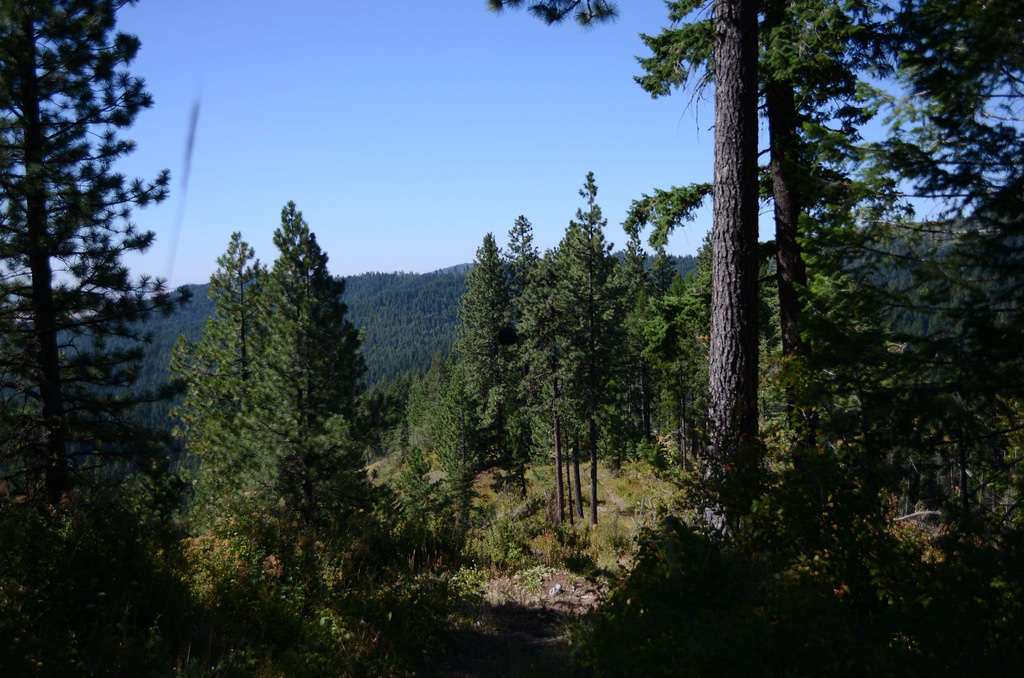 McCroskey State Park