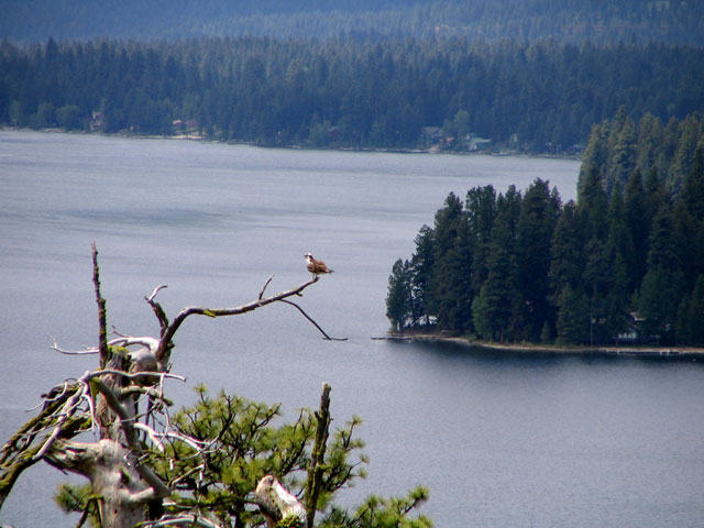 Ponderosa State Park