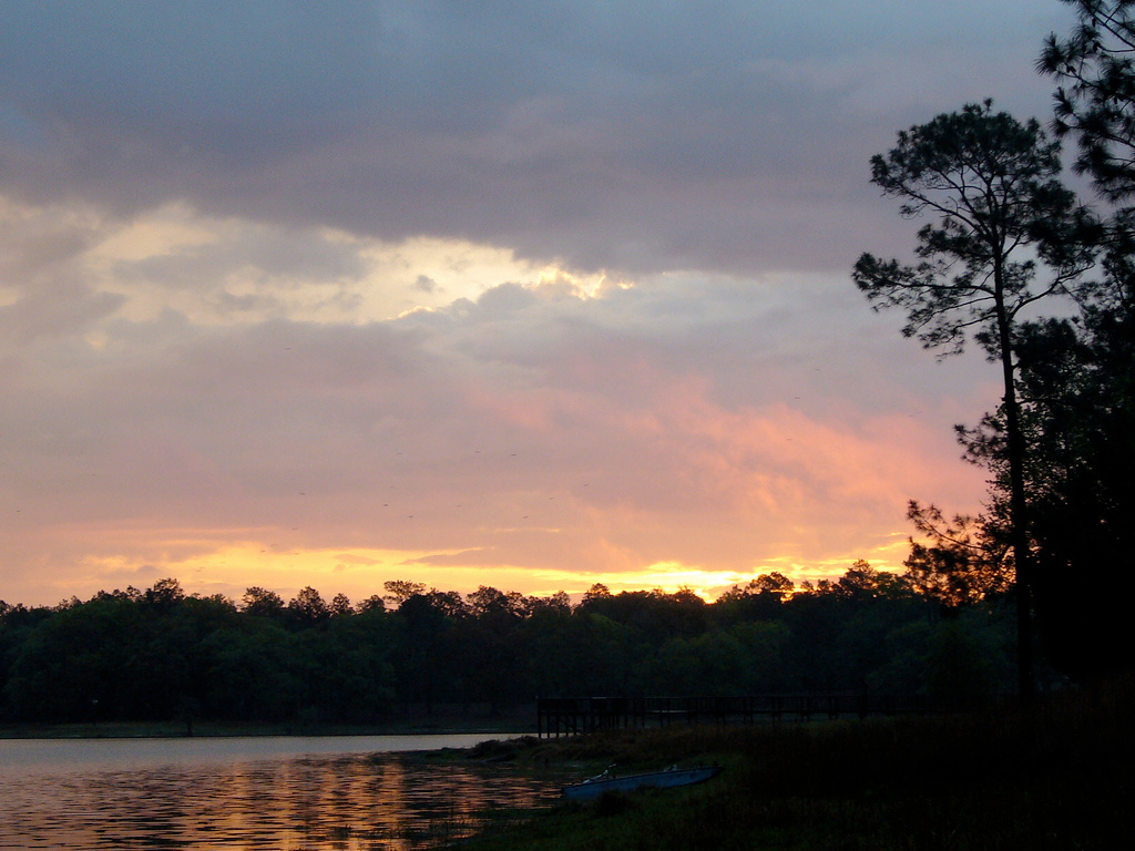 Conecuh National Forest