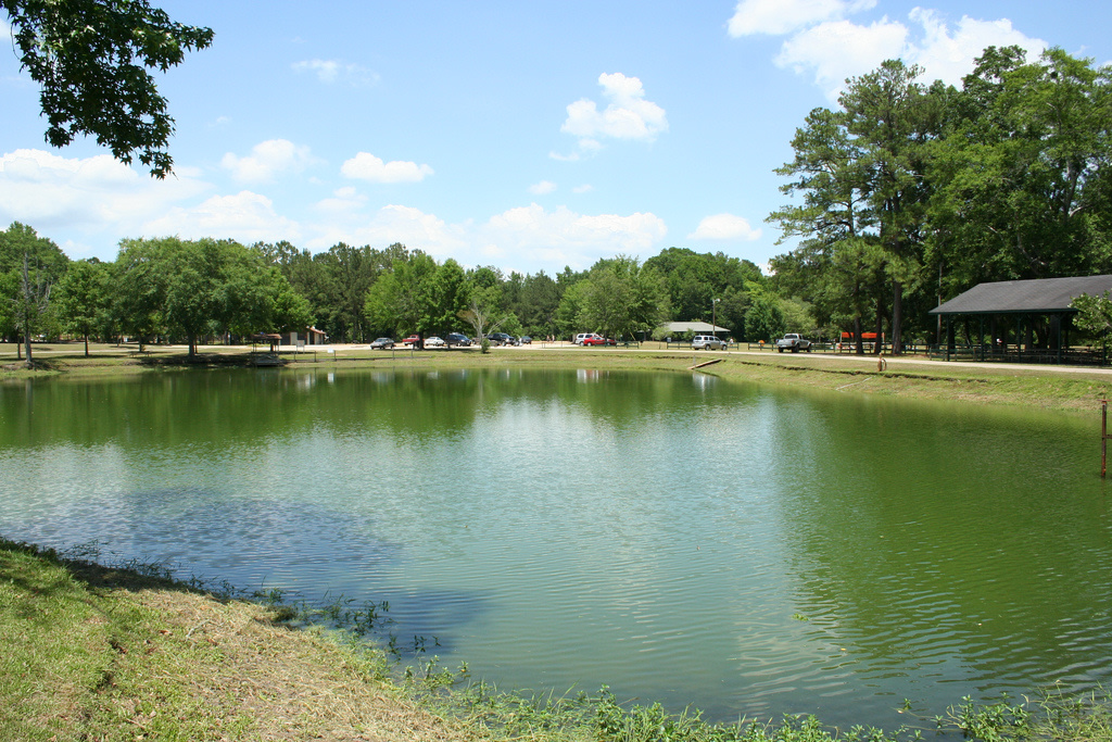 Blue Springs Campground