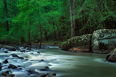 Buck's Pocket Campground