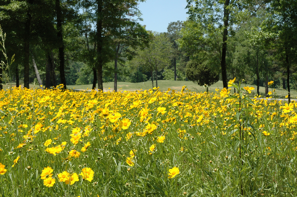 Oak Mountain State Park