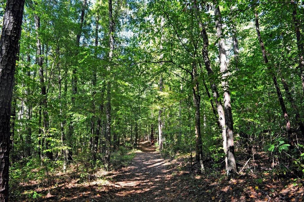 Paul M Grist State Park