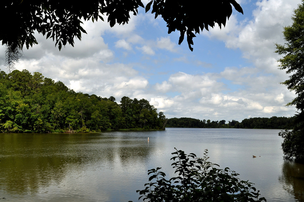 Roland Cooper State Park