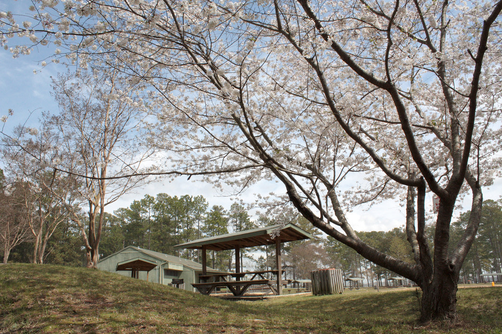 Wind Creek State Park