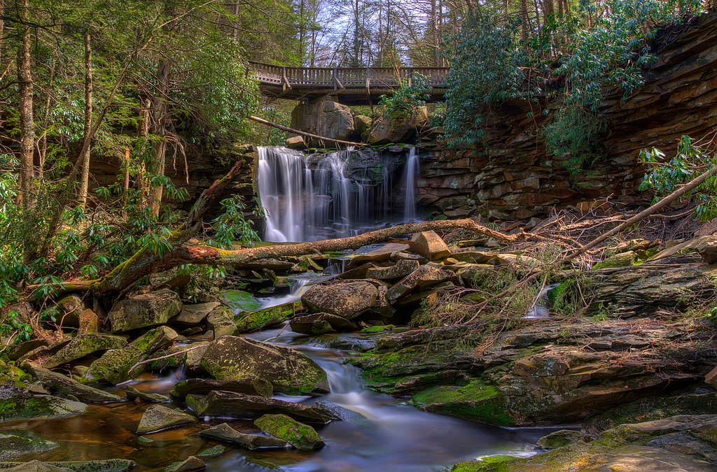 Blackwater Falls State Park