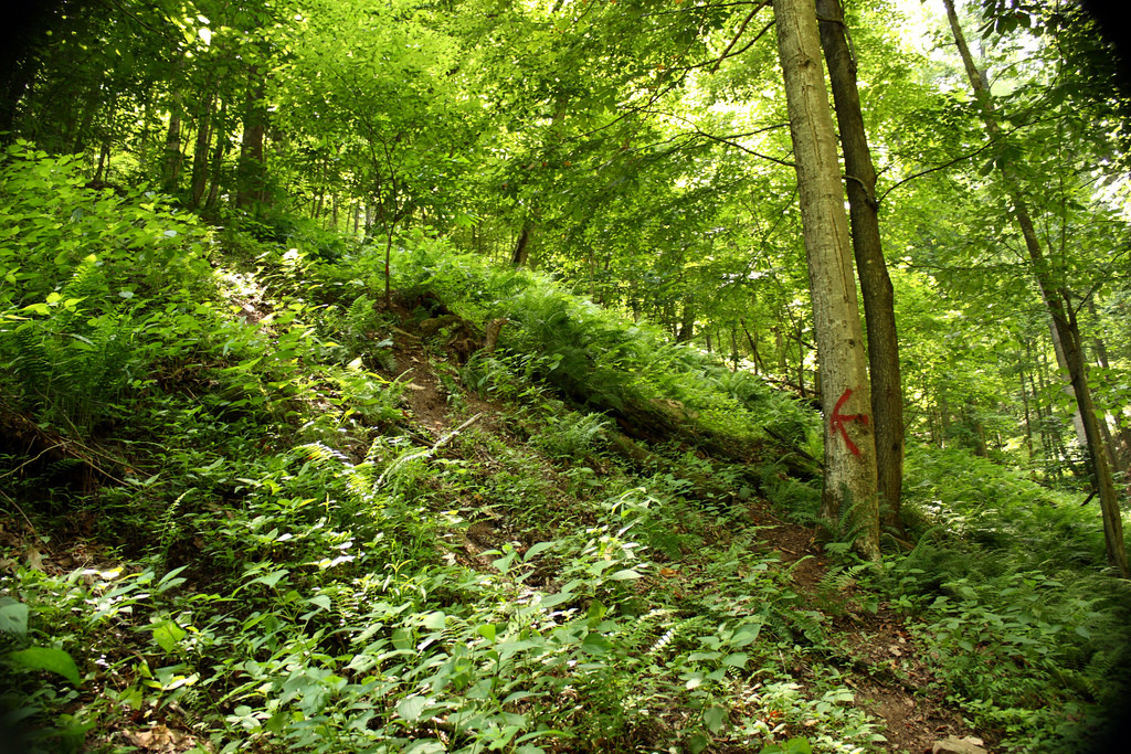 Cedar Creek Campground