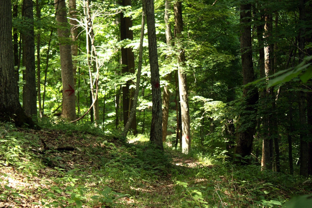 Cedar Creek Campground