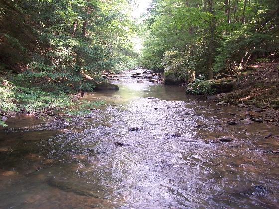 Holly River State Park