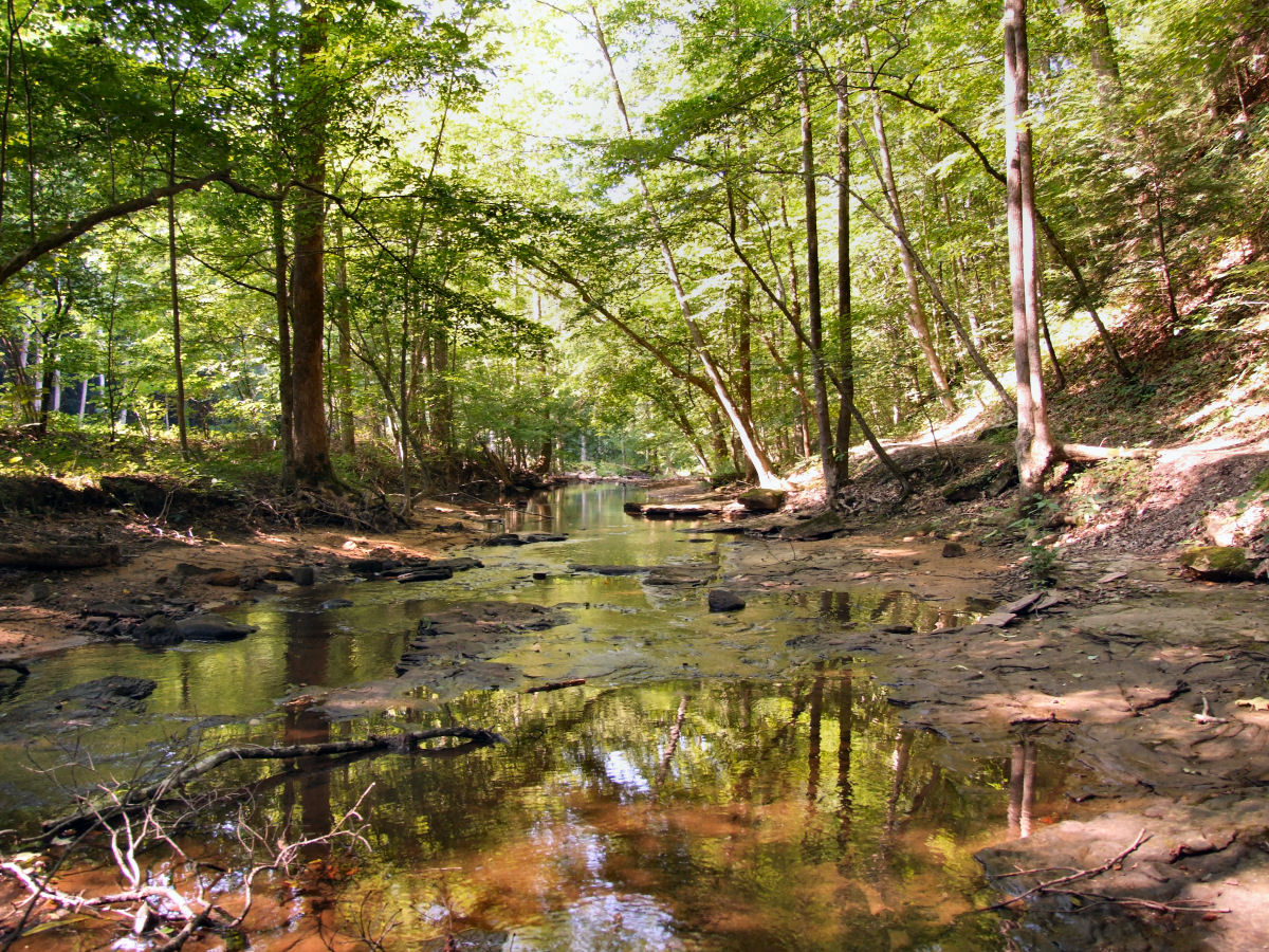 Kanawha State Forest