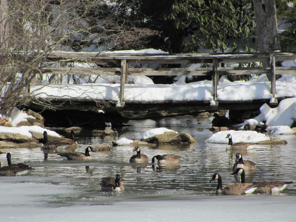 Little Beaver Campground