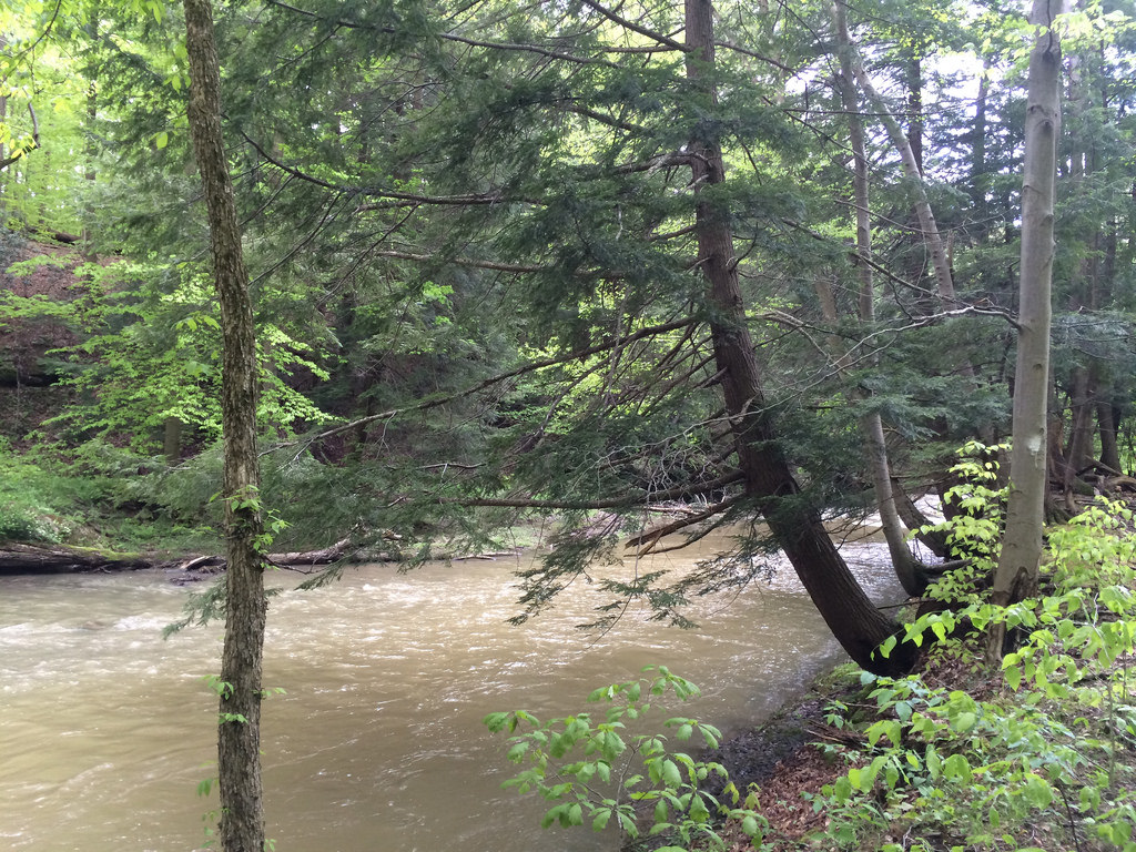 Tomlinson Run Campground