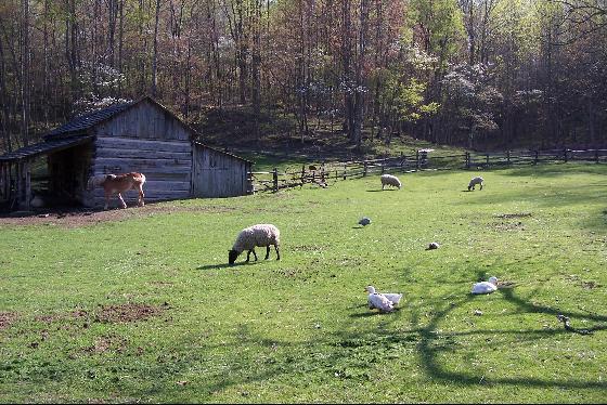 Twin Falls State Park