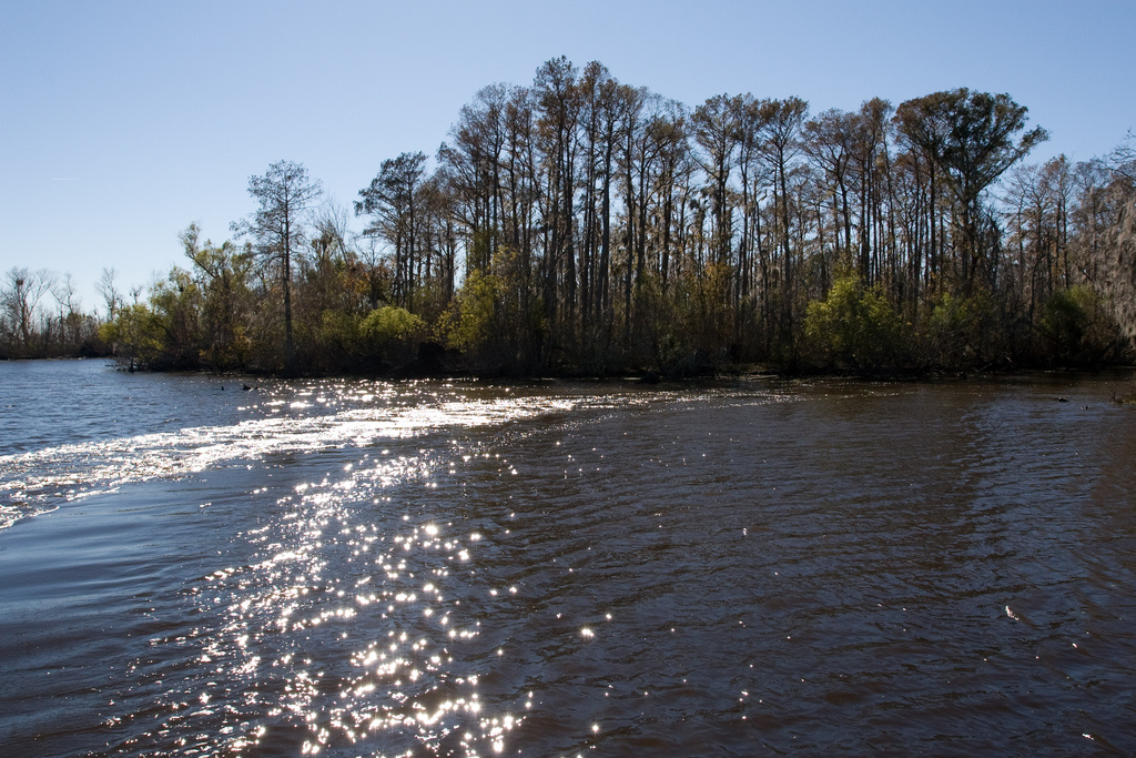 Bayou Segnette State Park