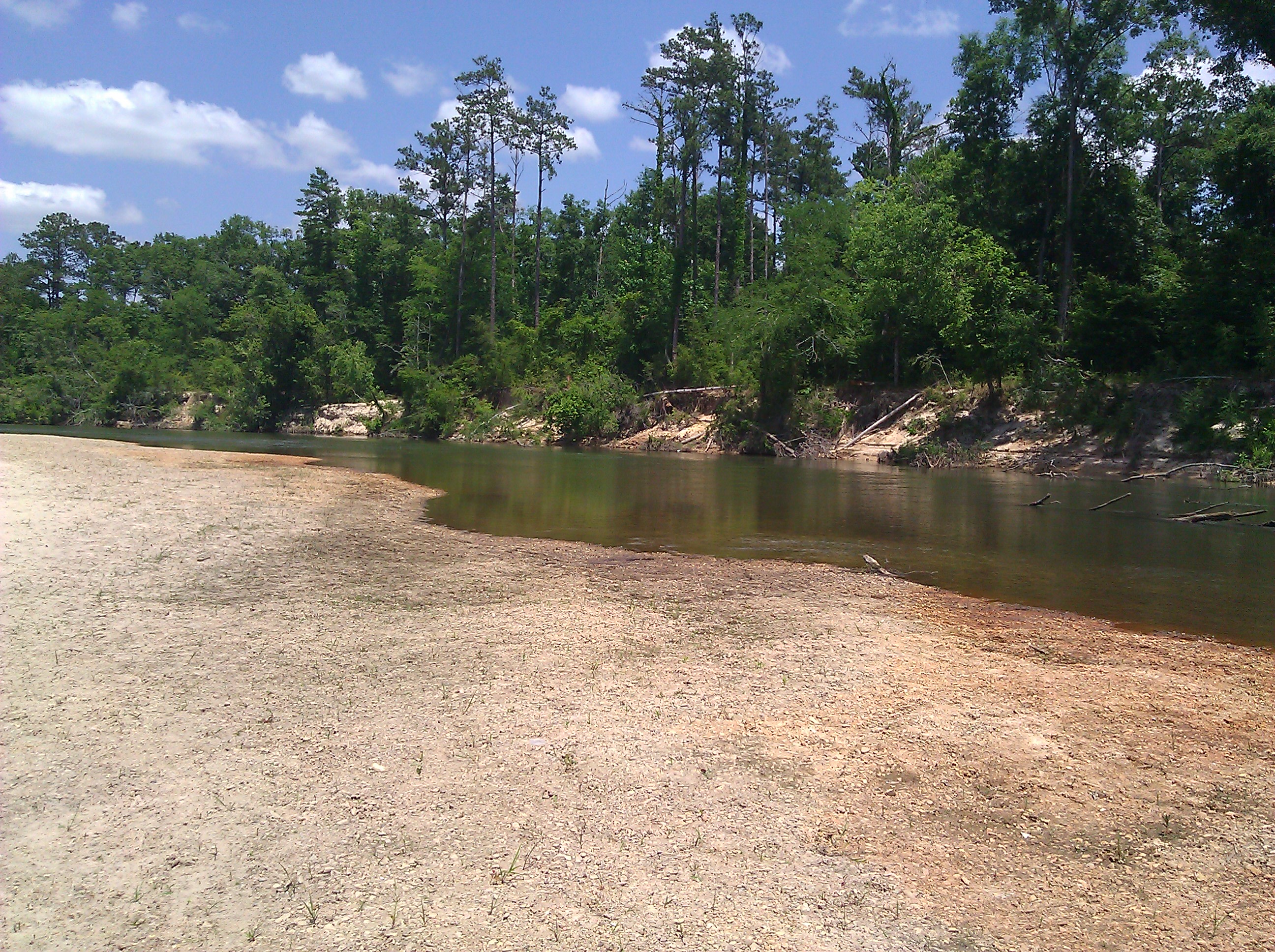 Bogue Chitto State Park