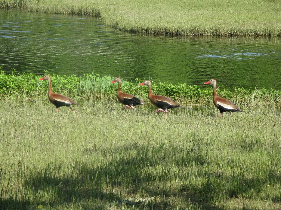 Fairview Riverside State Park