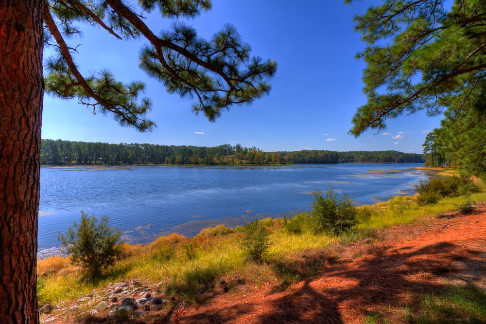 Hodges Gardens State Park