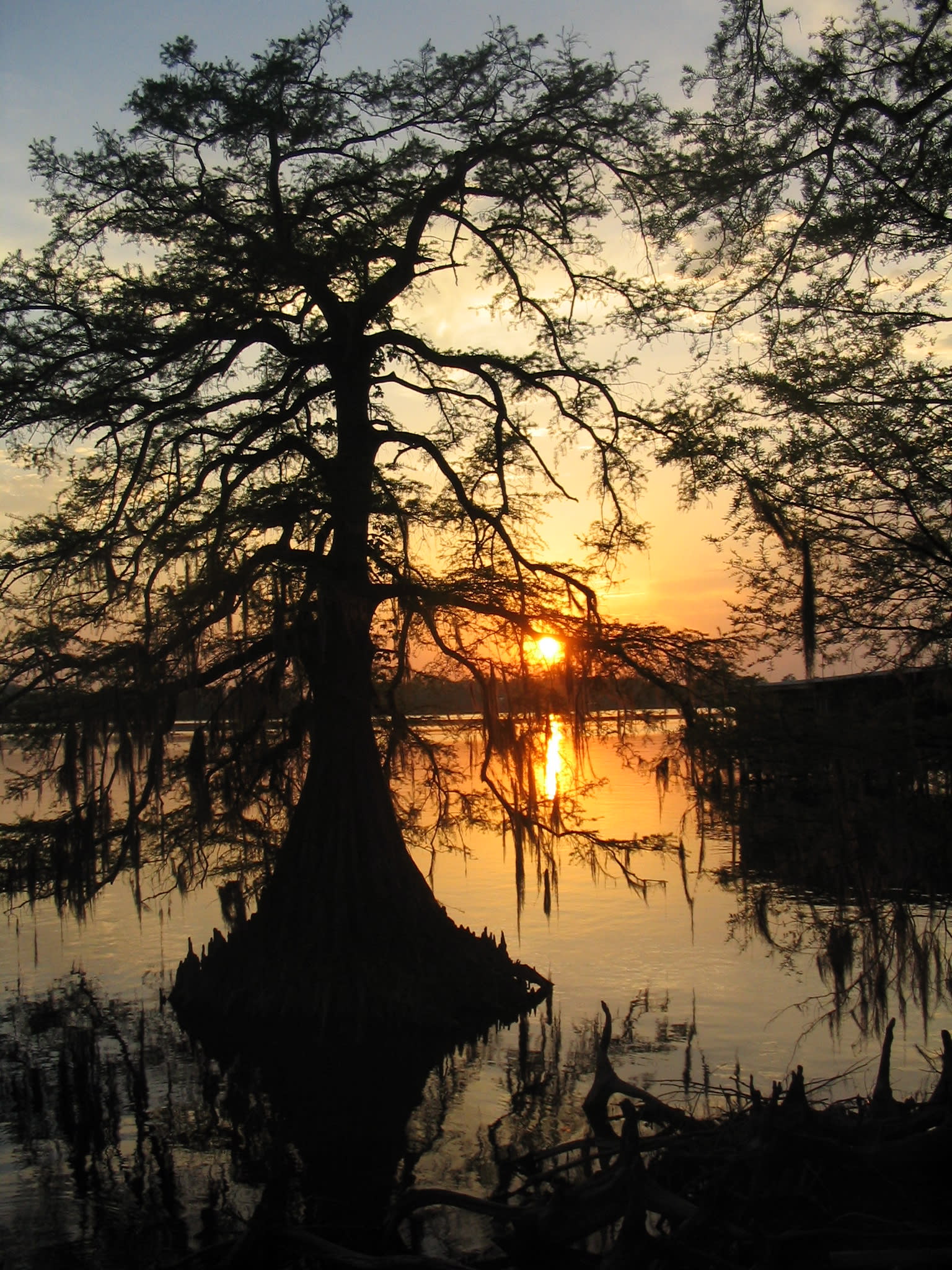 Lake Bruin State Park