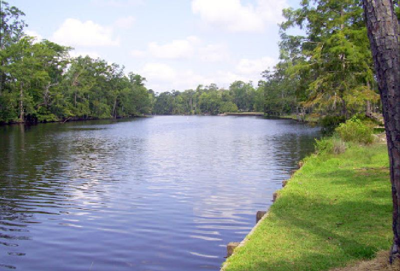 Sam Houston Jones State Park