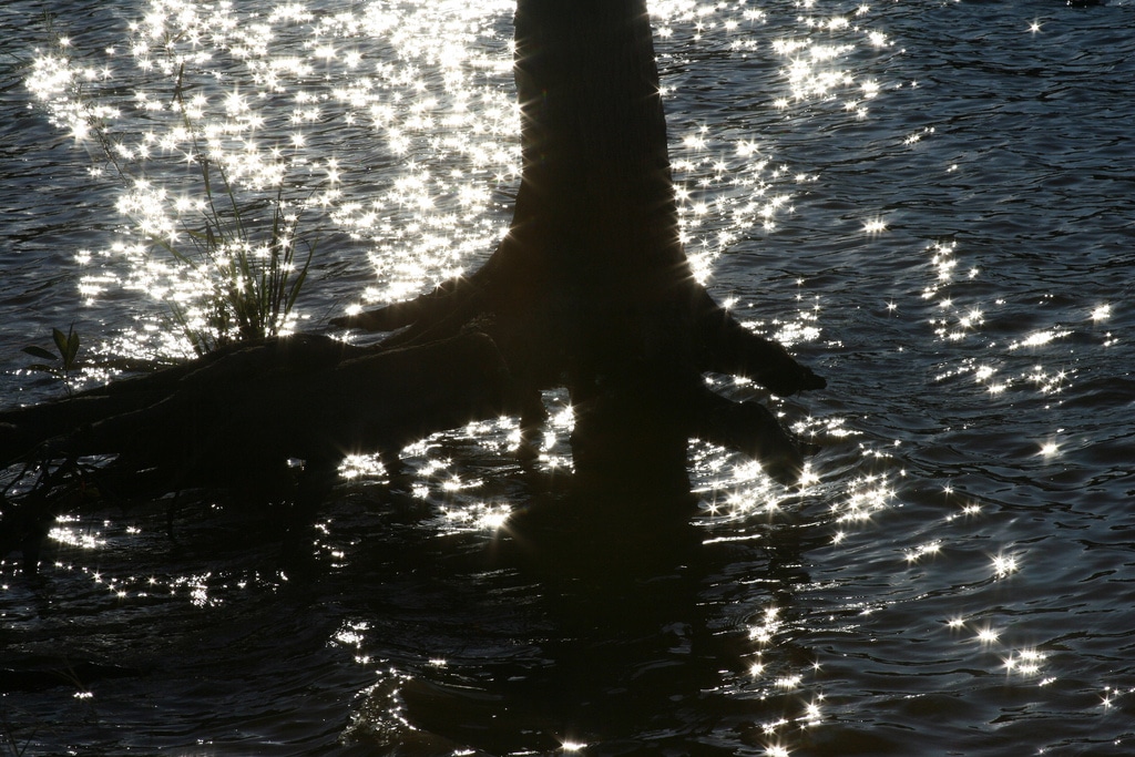 Lake Lincoln State Park
