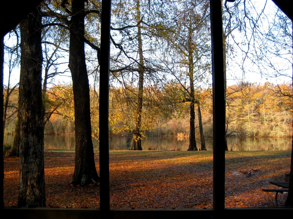 Leroy Percy State Park