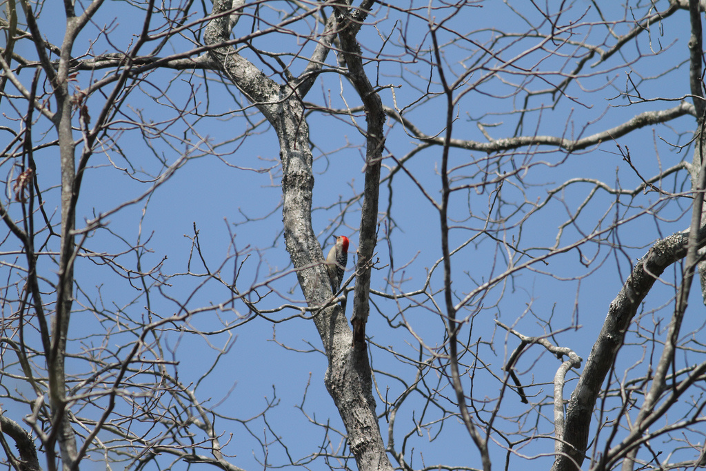 Tombigbee State Park