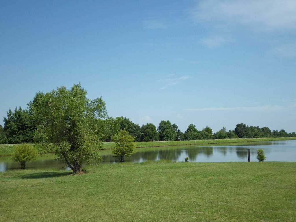 Crowley Ridge State Park