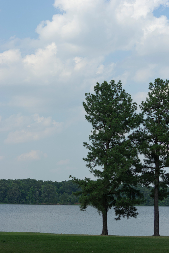 Lake Charles Campground