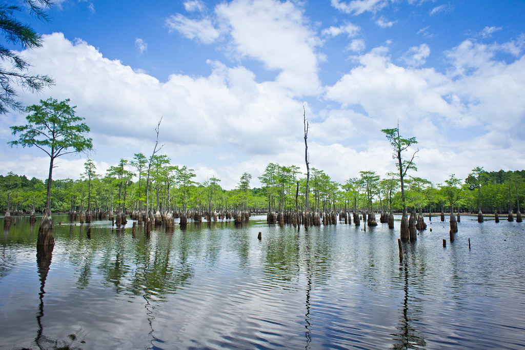 Lake Fort Smith State Park