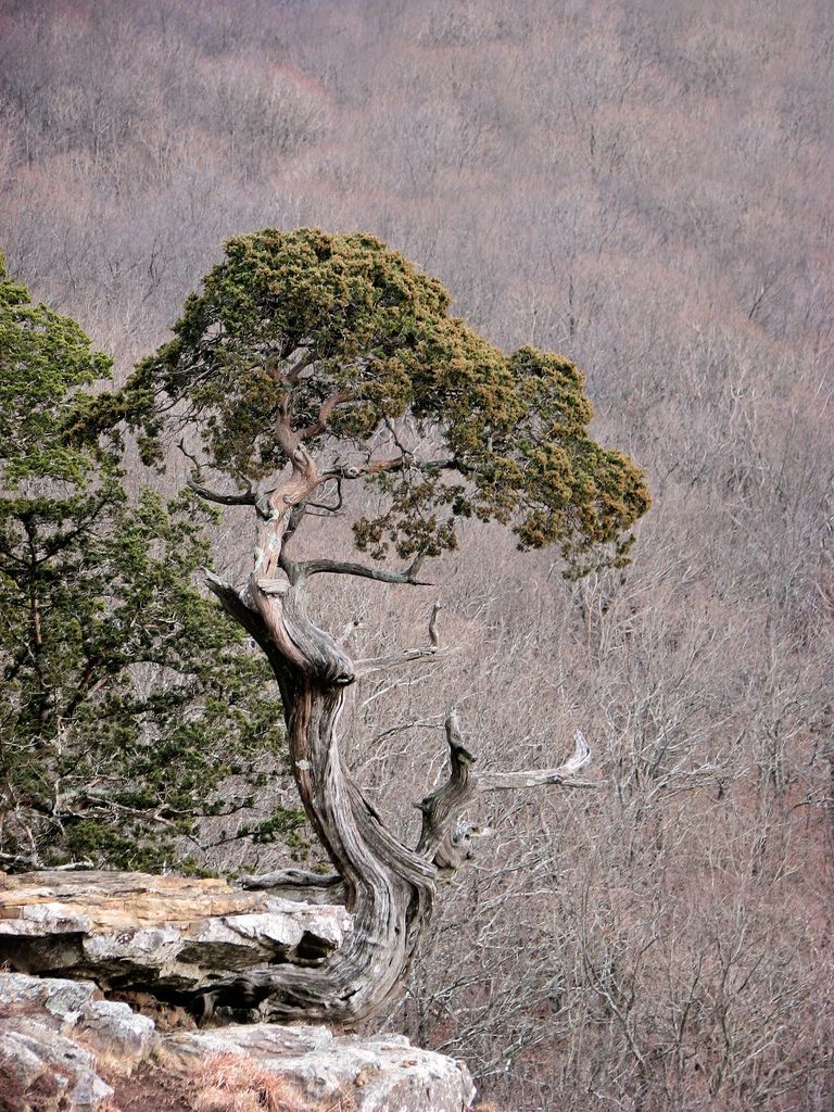 Mount Magazine State Park
