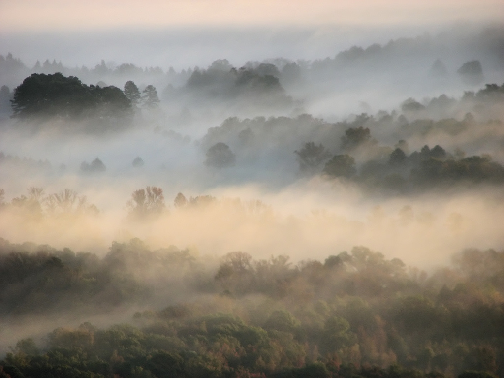 Mount Nebo State Park