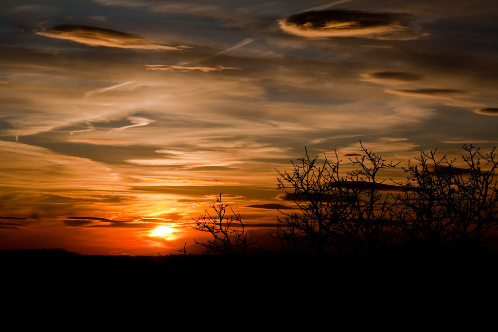 Withrow Springs Campground