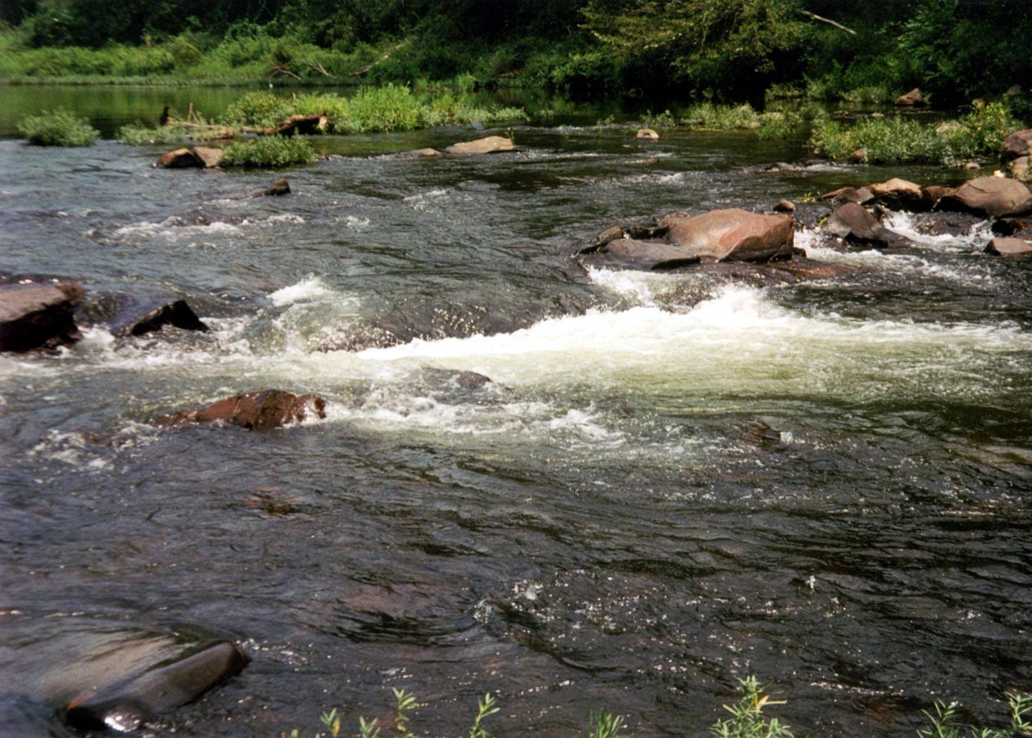 Big Coon Creek Campground
