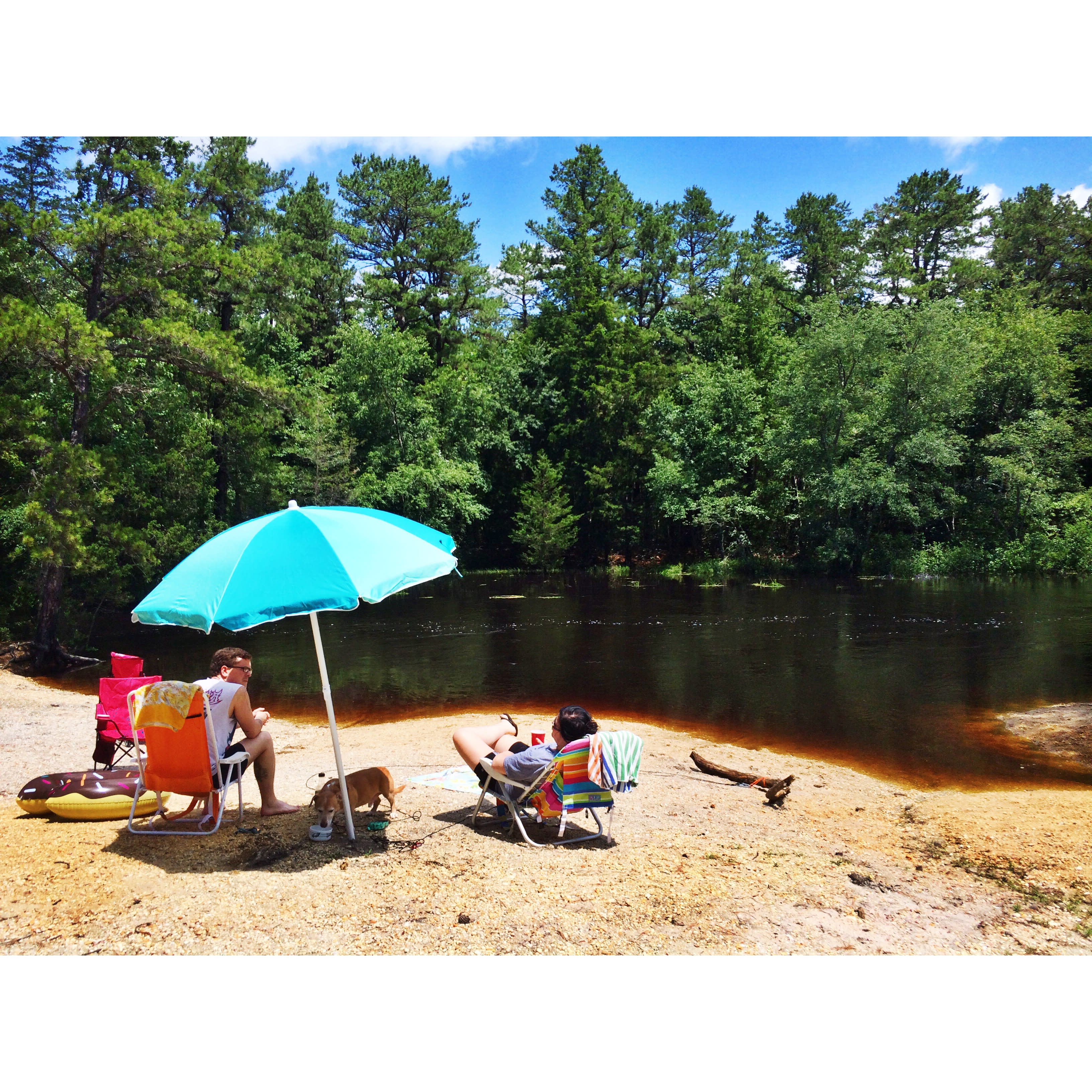 Wharton State Forest