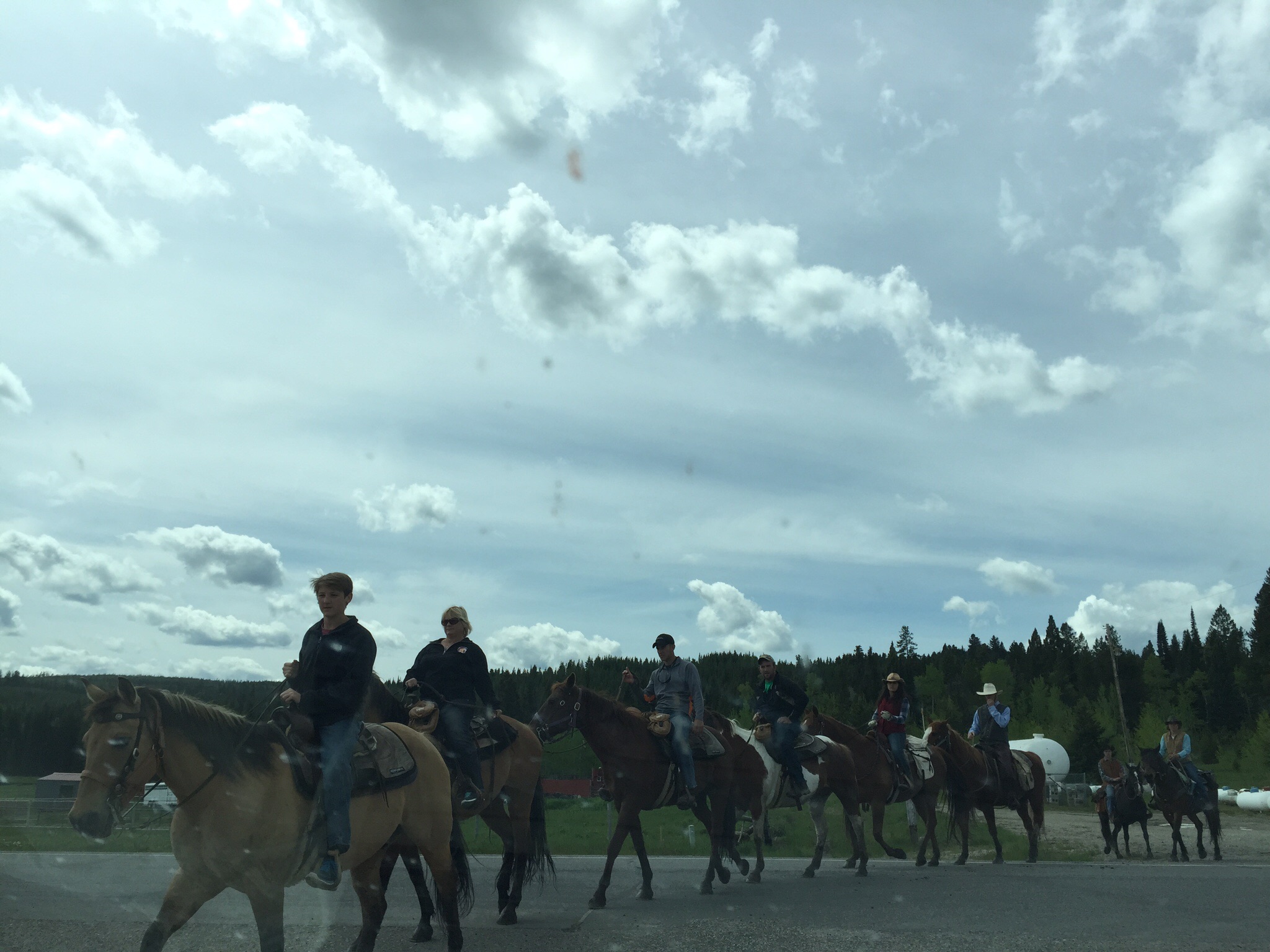 This group was actually from Ohio too!   Got a little OH...IO chanting going on
