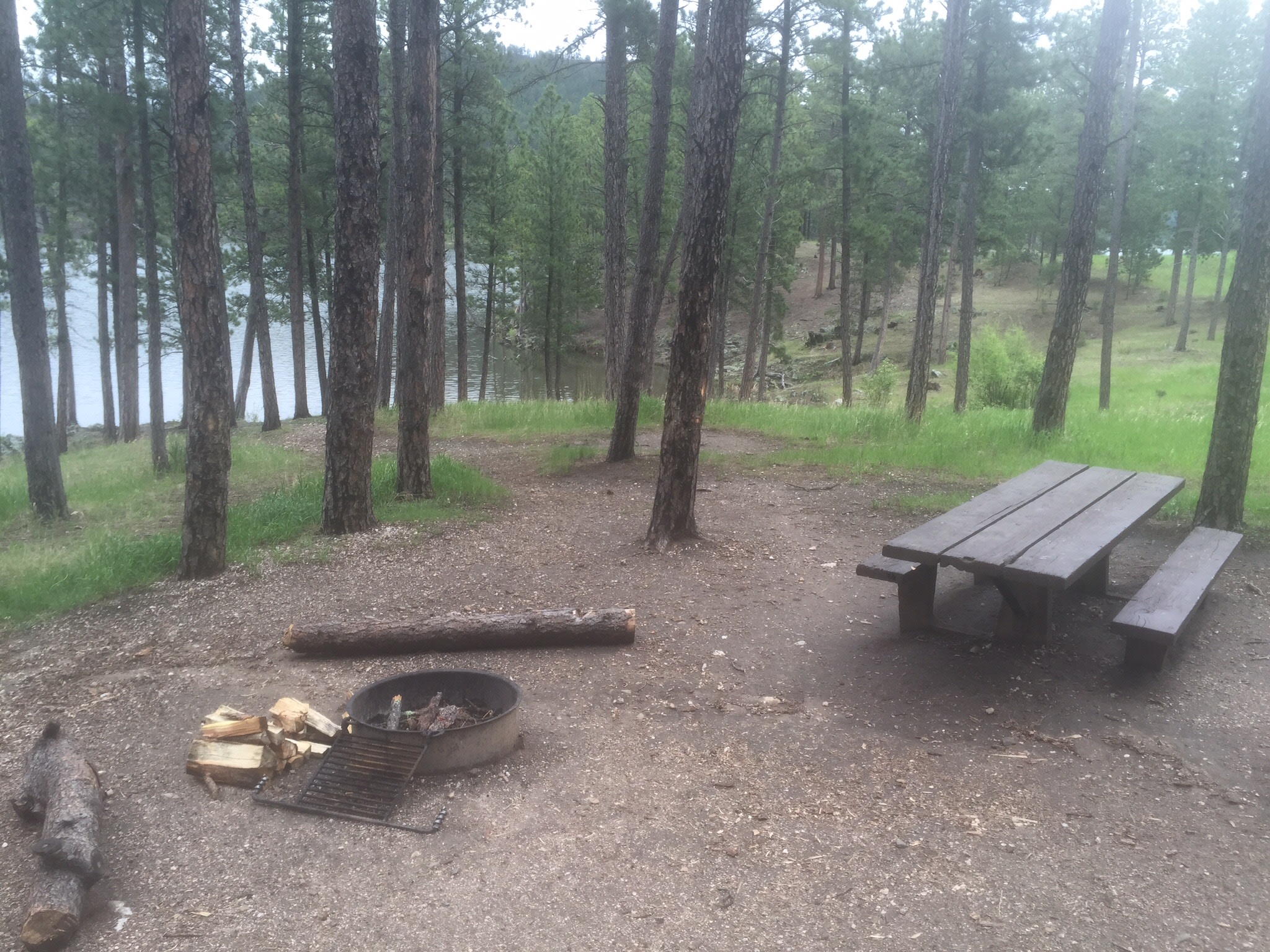 Black Hills National Forest