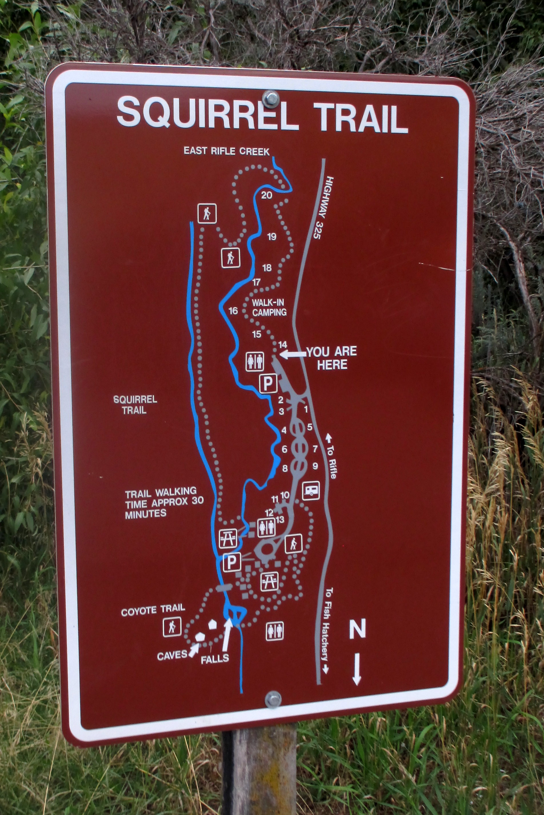 All the walk-in camping sites are great.