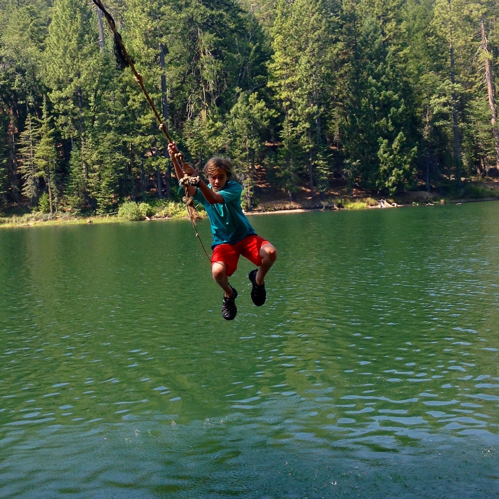 Great rope swing! The kids had a blast. 