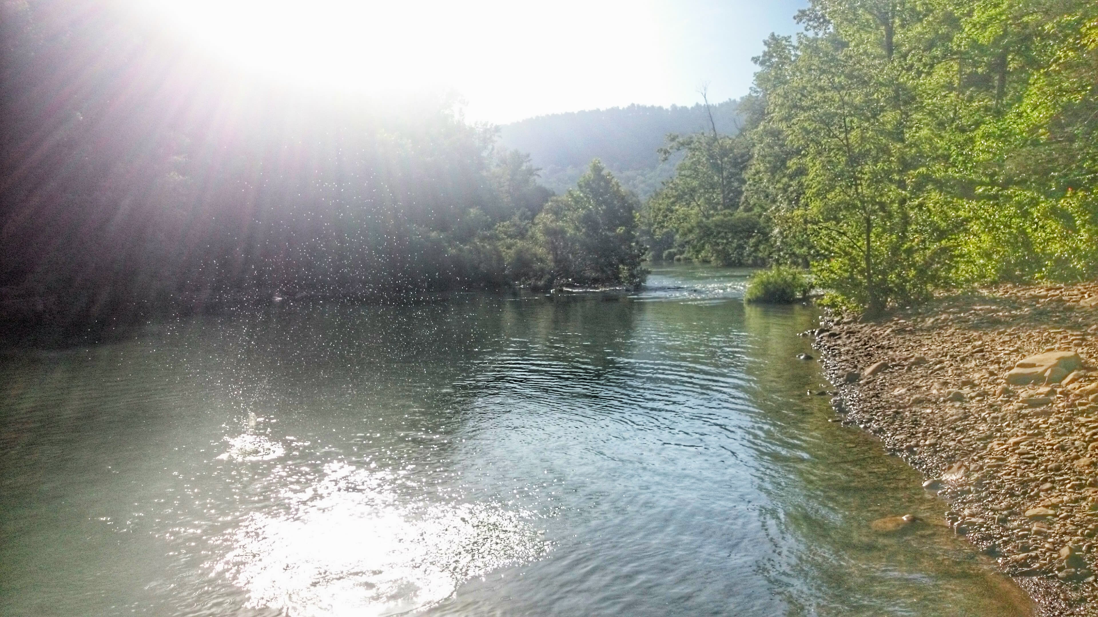 Ozark-St. Francis National Forests