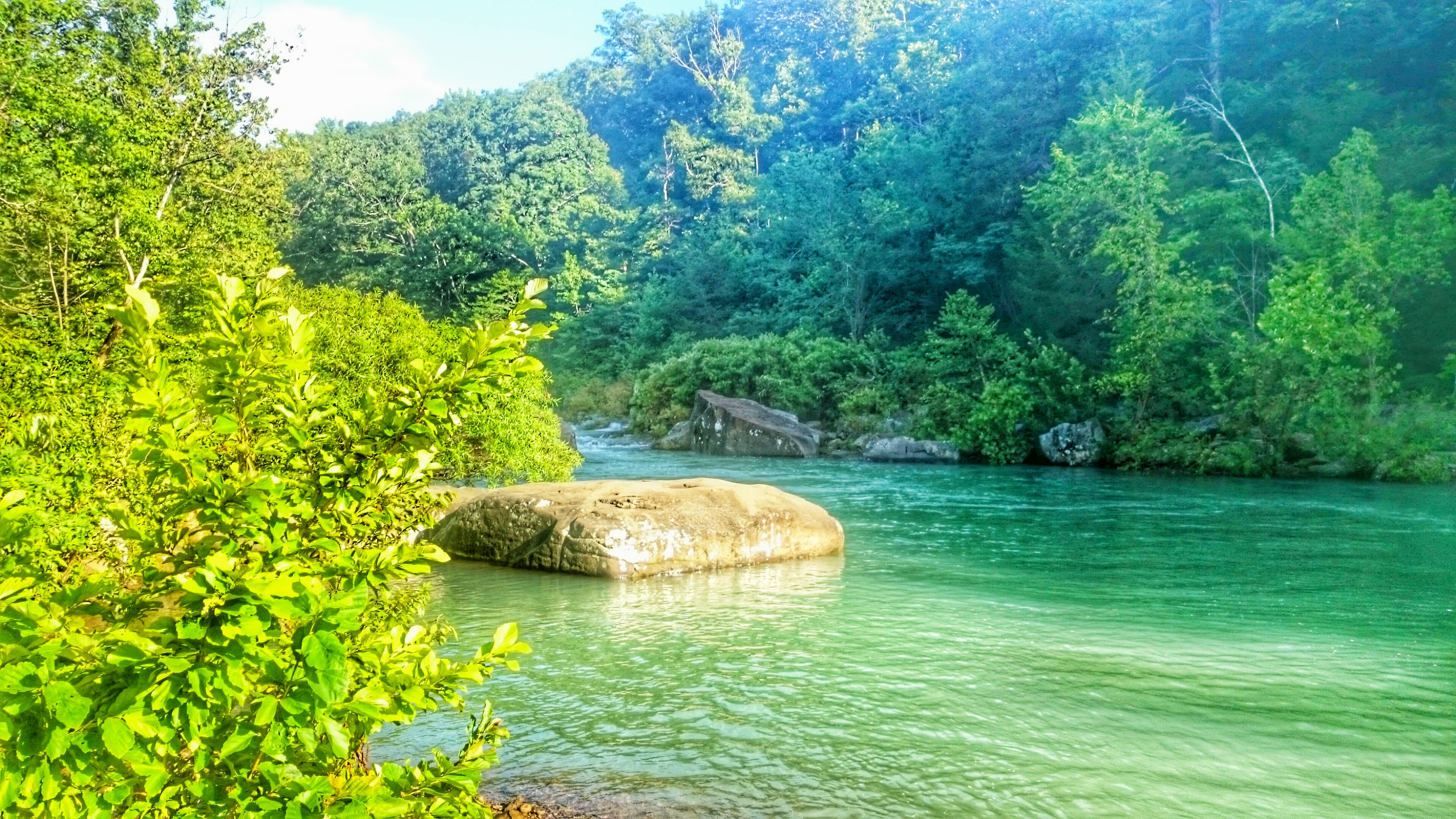 Ozark-St. Francis National Forests