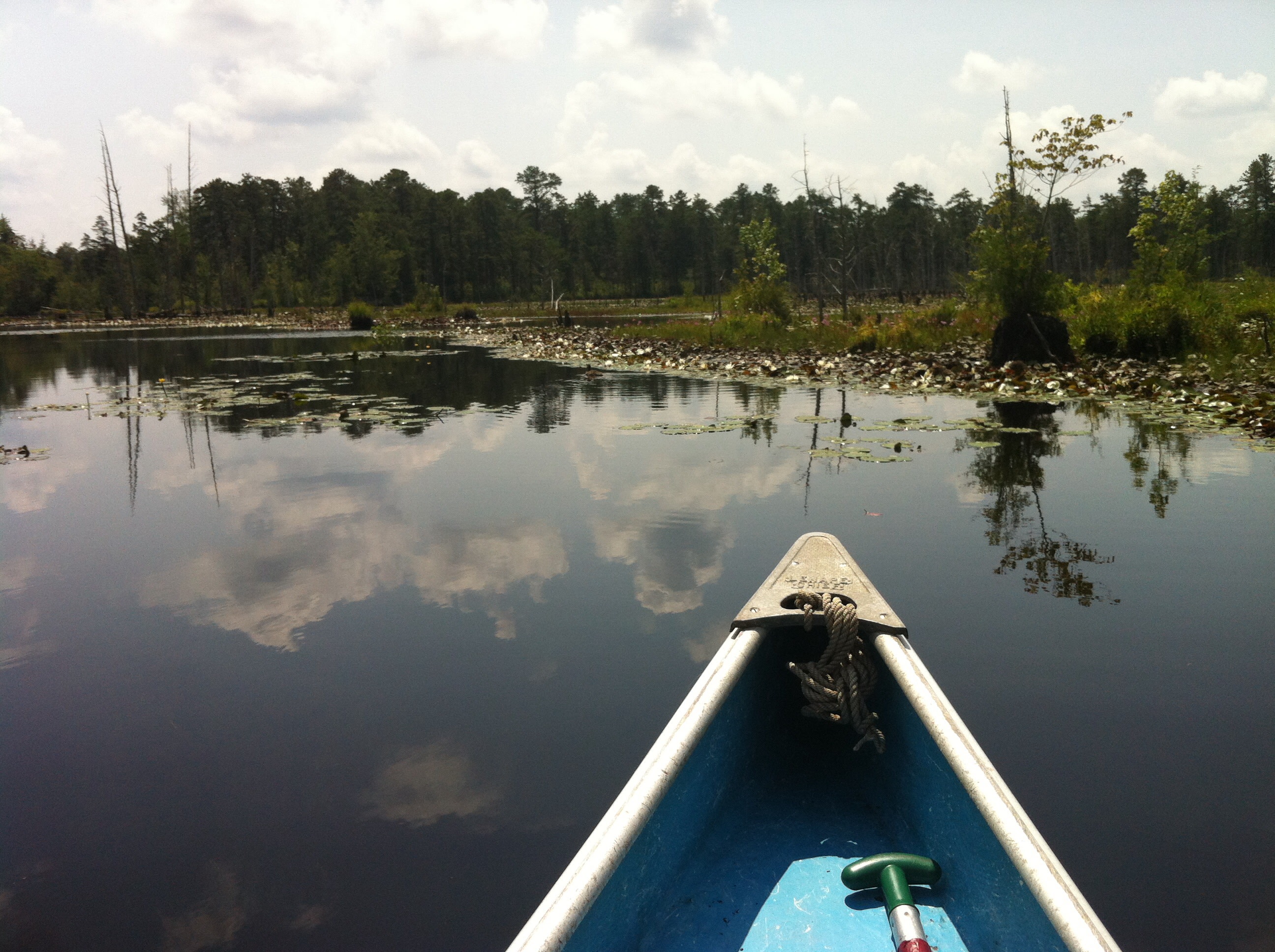 Goshen pond by canoe