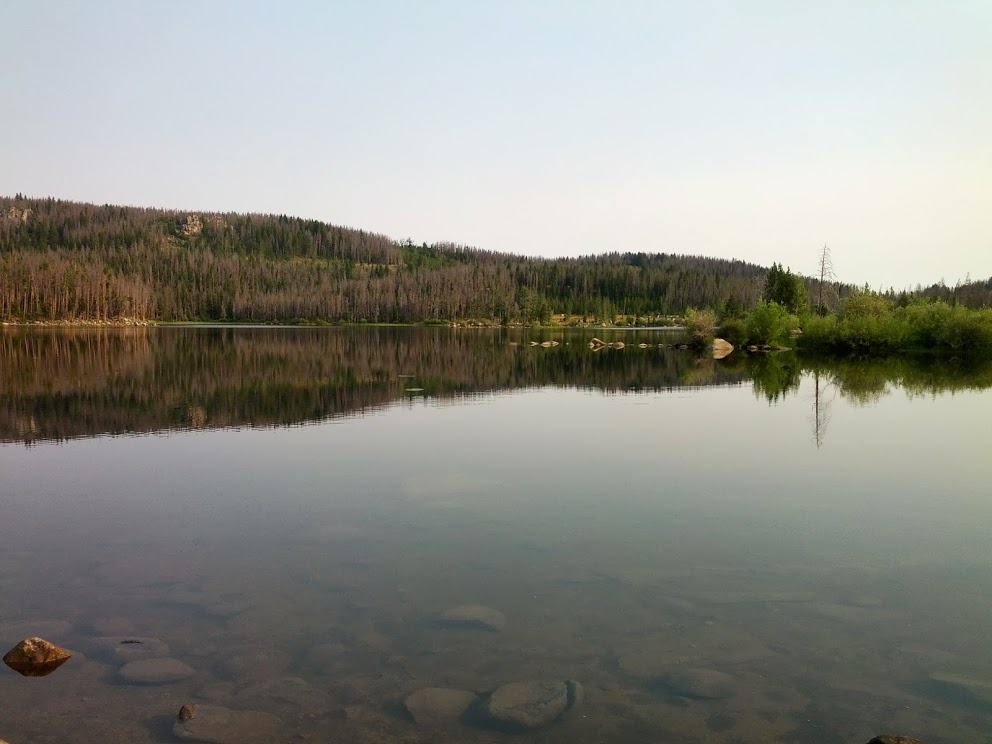 A view of Park Lake in the morning light.