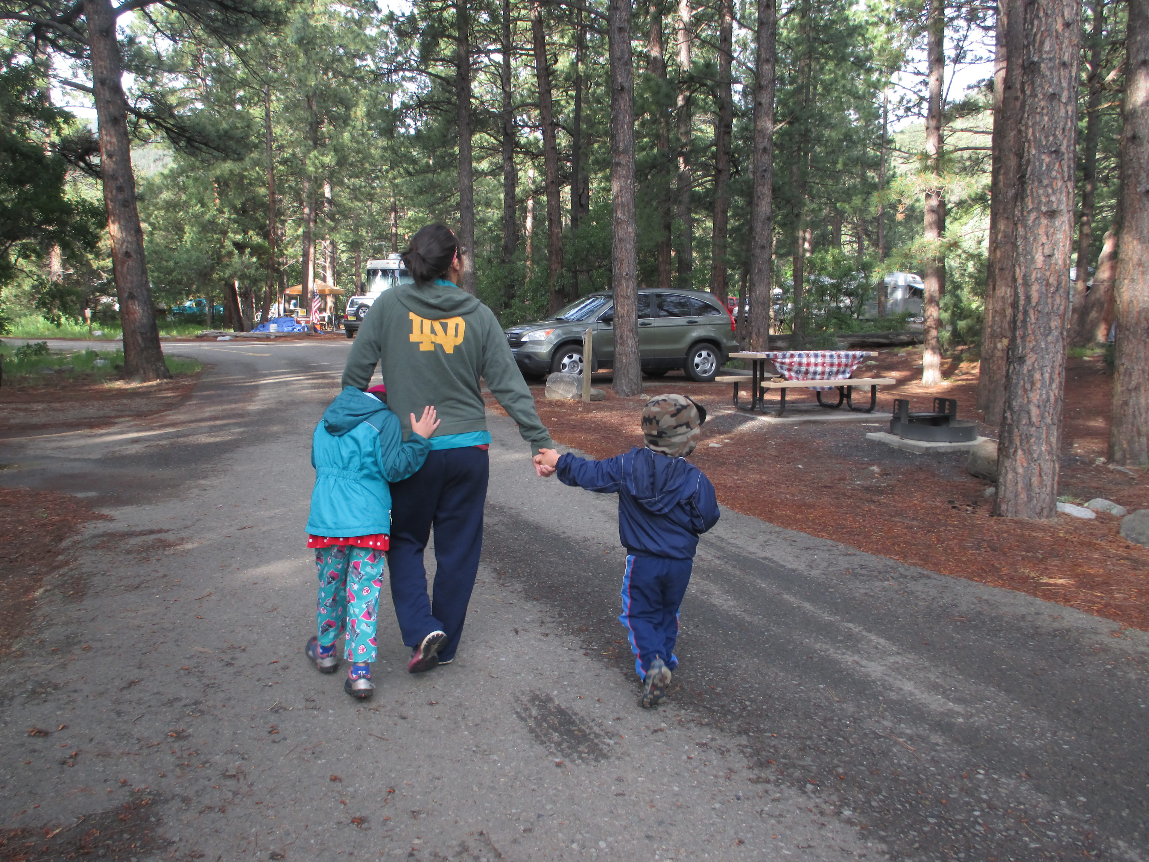 Cimarron Canyon State Park